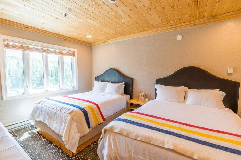 The Black Diamond Lodge *Sleeps 46* Hot Tubs + Ski Shuttle + Mountain Views Durango Exteriér fotografie